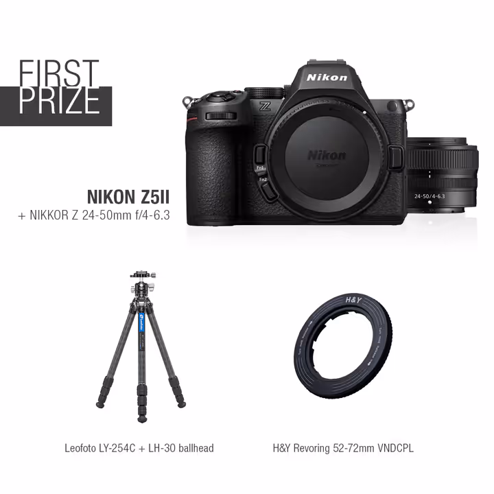 Grand Prize image